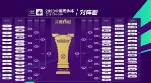 青岛队凯旋而归：渤海赛区现交锋激情，青岛队稳扎稳打晋级(范海荣军港之夜)