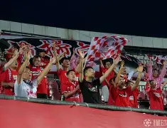 娱乐新体验-意甲传奇球星退役，感谢球迷支持